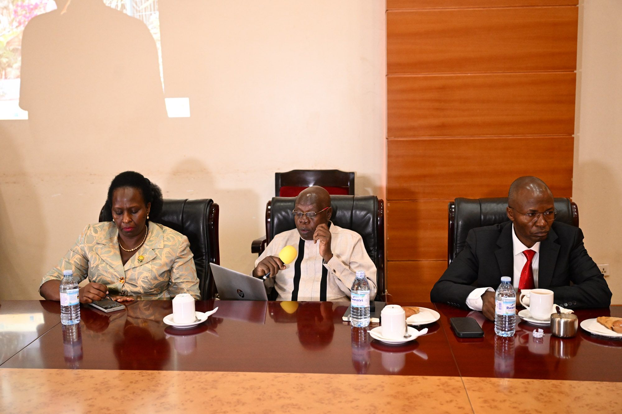 KAPATU-Project-Leaders-Present-Progress-Audit-Report-to-Vice-President-Alupo-Gallery-29